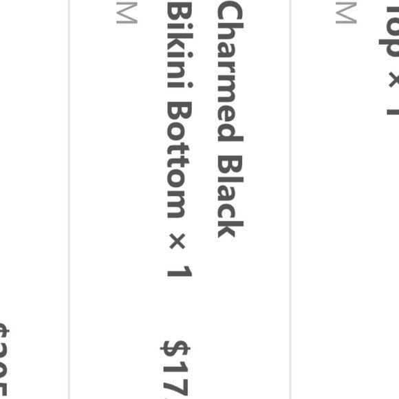 12th Tribe Bikini Bottom - Picture 8 of 8